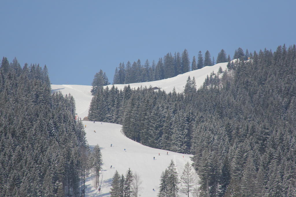 Berggasthof Willy Merkl Haus Шпитцингзее Екстериор снимка